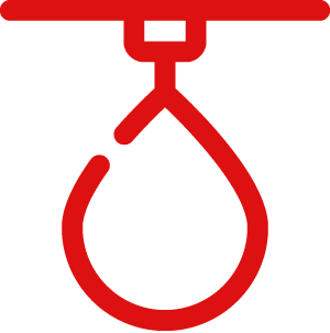 Artes Marciales Mixtas (MMA)