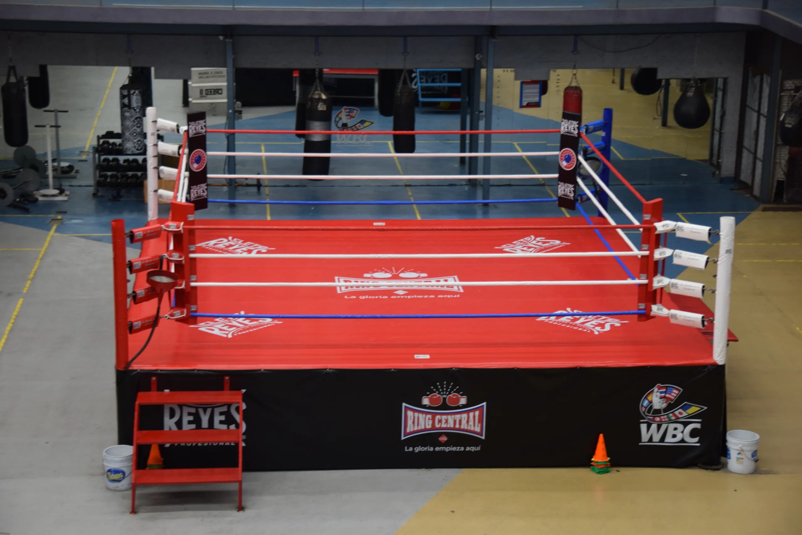 boxring
